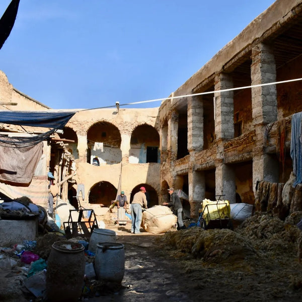 Ain Azliten Tannery